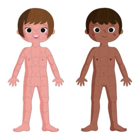 Пазл Janod Тіло людини J02681 - Зображення 3