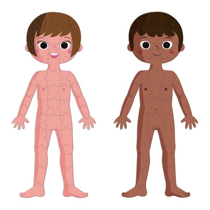 Пазл Janod Тіло людини J02681 - Зображення 3