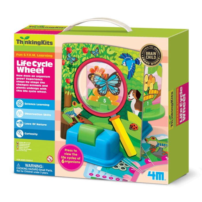 Набір для творчості 4M Життєвий цикл - Зображення 1