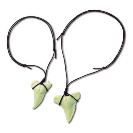 Набір для творчості 4M Розкопки акули (00-05918) - Зображення 3