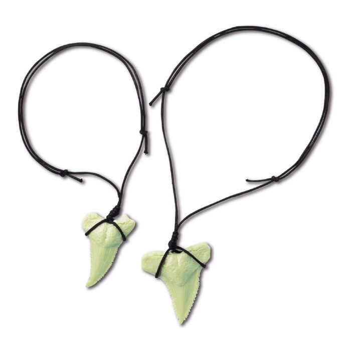 Набір для творчості 4M Розкопки акули (00-05918) - Зображення 3