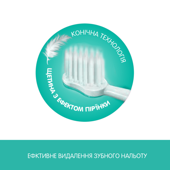 Щітка зубна (блакитна) - Зображення 3