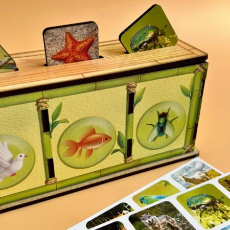 Комодик-сортер *Види тварин* - Зображення 3