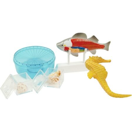 Експерименти і досліди *Вивчення моря* COG (E2348) - Зображення 2