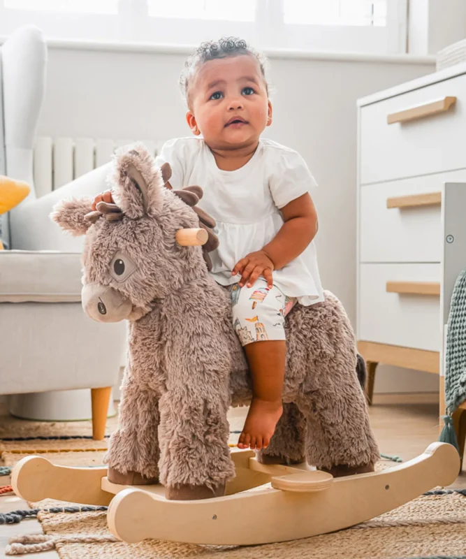 Little Bird Told Me Rocking Donkey Norbert 9m+