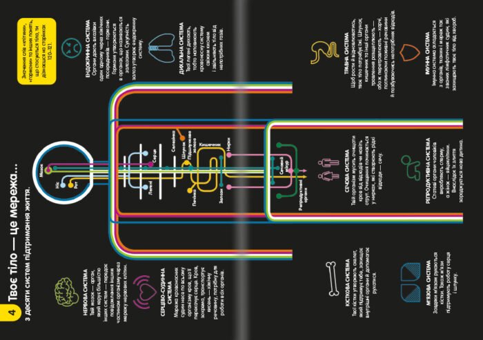 100 фактів про людське тіло - Зображення 4