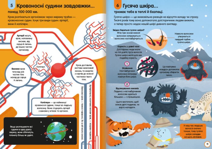 100 фактів про людське тіло - Зображення 5