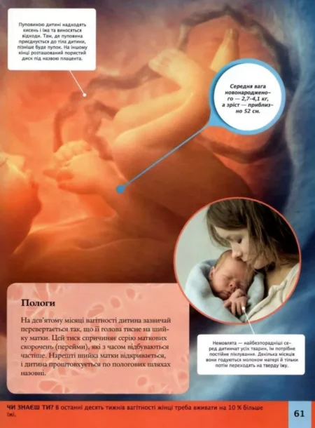 Дитяча енциклопедія науки - Зображення 6