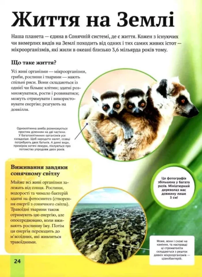 Дитяча енциклопедія планети Земля - Зображення 4