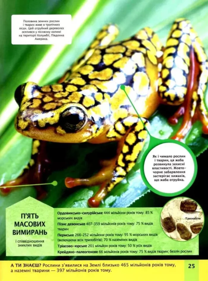 Дитяча енциклопедія планети Земля - Зображення 3