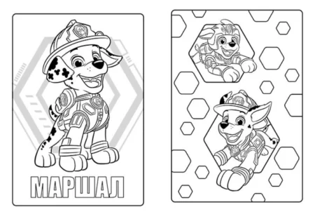Щенячий Патруль. Кольорові пригоди з наліпками. Ліберті - Зображення 3
