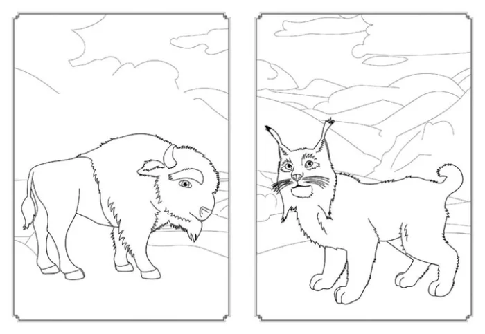 Мавка. Магія кольору. Всесвіт Мавки - Зображення 2