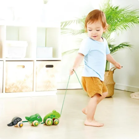 Дерев'яна каталка Hape Жабки (E0365) - Зображення 5