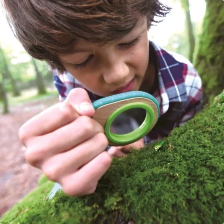 Набір детектива-натураліста Hape Nature Fun Лупа і свисток (E5570) - Зображення 4