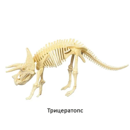 Науковий набір *Скелет динозавра* - Зображення 2