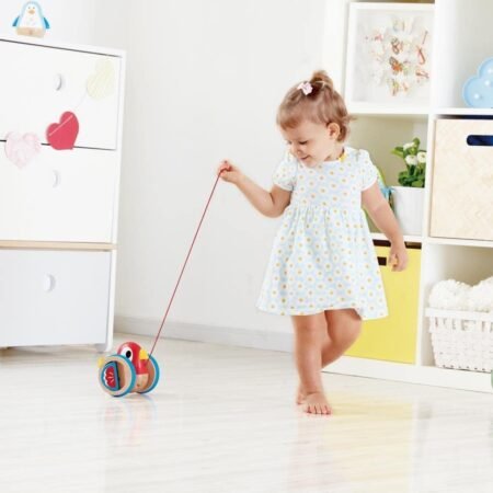 Дерев'яна каталка Hape Пташеня (E0360) - Зображення 5