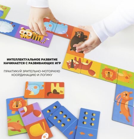 Домино Транспорт - Зображення 5