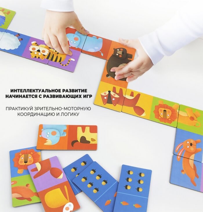 Домино Транспорт - Зображення 5