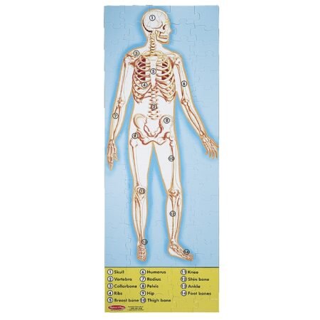 Мега-пазл  Будова людини , 100 елементів Melissa&Doug (MD445) - Зображення 2