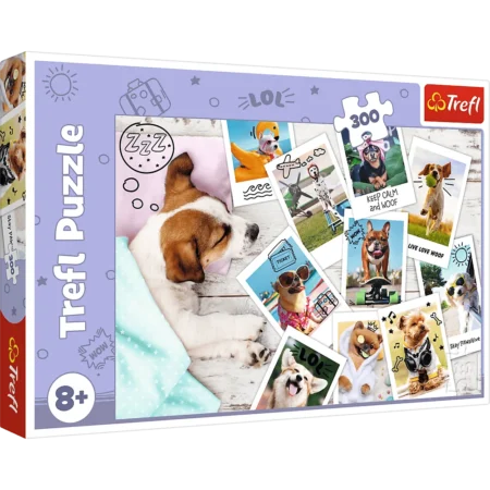 Пазли - (300 елм.) -  Літні картинки  / Trefl
