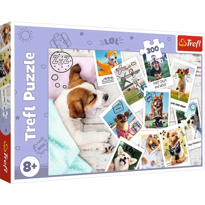 Пазли - (300 елм.) -  Літні картинки  / Trefl - Зображення 1