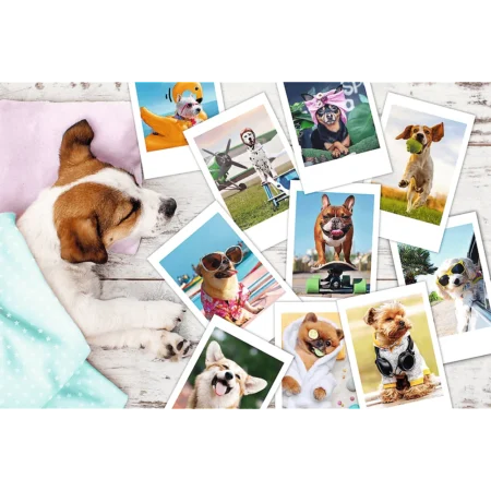 Пазли - (300 елм.) -  Літні картинки  / Trefl - Зображення 2