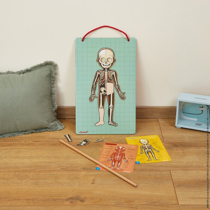 Ігровий магнітний набір Janod Тіло людини J05491 - Зображення 8