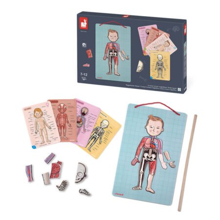 Ігровий магнітний набір Janod Тіло людини J05491 - Зображення 2