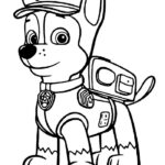 Paw Patrol