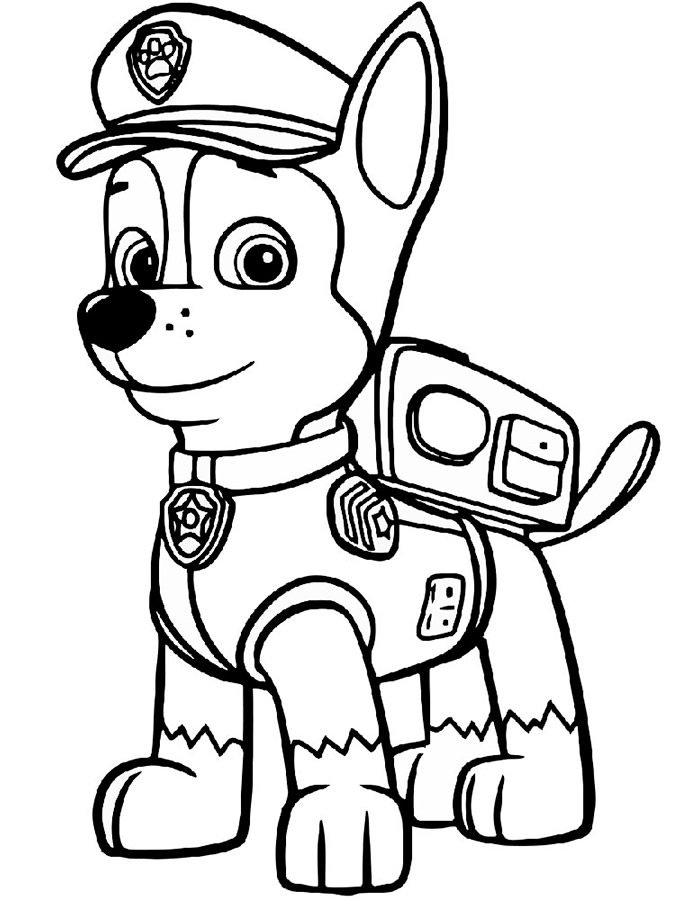 Paw Patrol