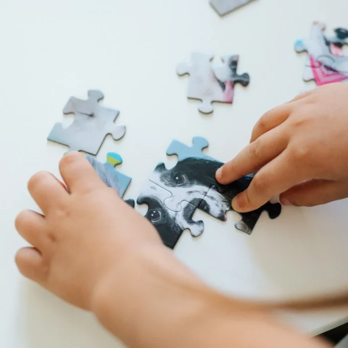 Пазли - (10 елм.) 2в1 рамкові  Щенячий патруль / Trefl - Зображення 2