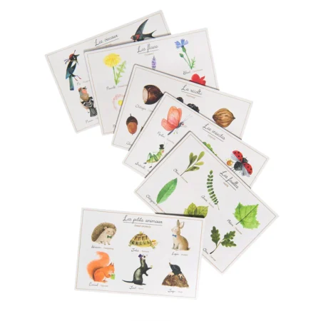 Настільна гра MOULIN ROTY Nature lotto game - Зображення 3