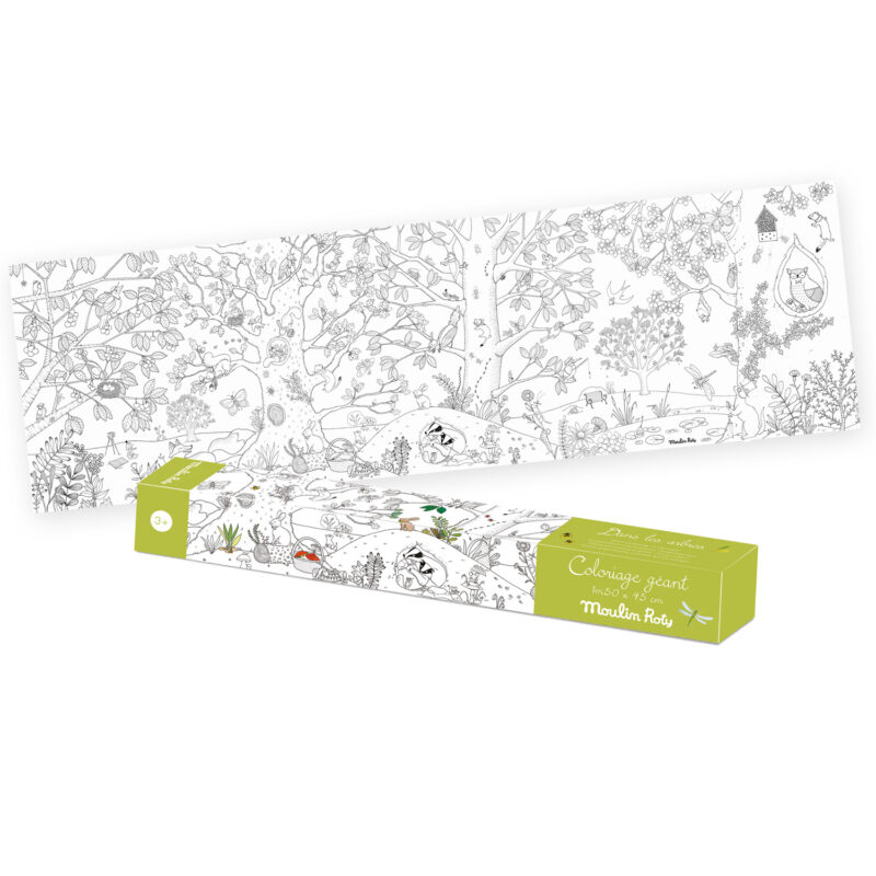 Велика розмальовка MOULIN ROTY Botanist giant colouring poster