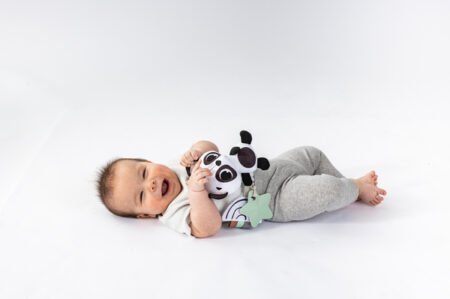 Підвіска з прорізувачем  Панда  (7290108863215) - Зображення 2