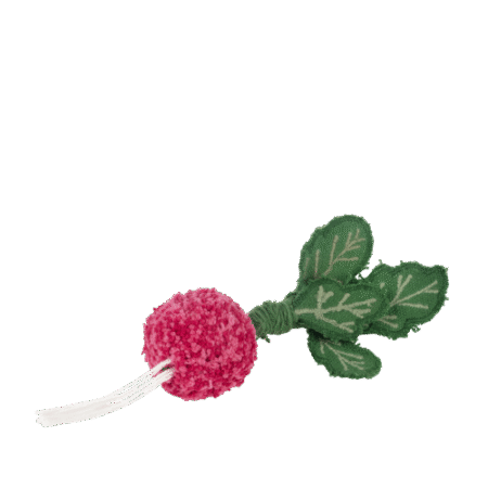 Набір для творчості зроби сам Редис Рамона - Зображення 2