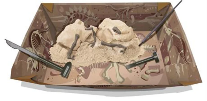 Набір для досліджень 4M Скелет велоцираптора (00-13234) - Зображення 2