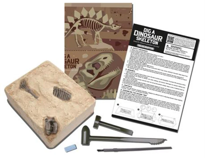 Набір для досліджень 4M Скелет велоцираптора (00-13234) - Зображення 3