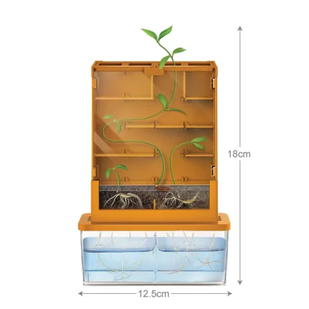 Набір для досліджень 4M Рослинний лабіринт - Зображення 2