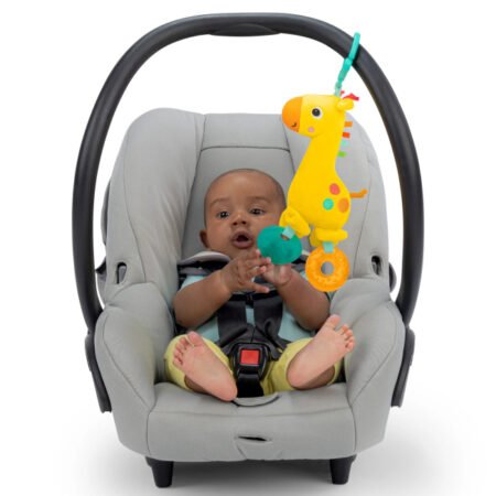 Іграшка-брязкальце м'яка  Safari Soother™  Bright Starts™ - Зображення 2