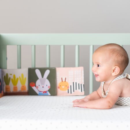 Розвиваюча книжка-розкладушка колеції  Садочок у місті  – ЗАЙЧИКИ - Зображення 3