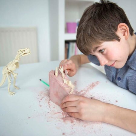 Набір для досліджень 4M Скелет тиранозавра (00-03221) - Зображення 3