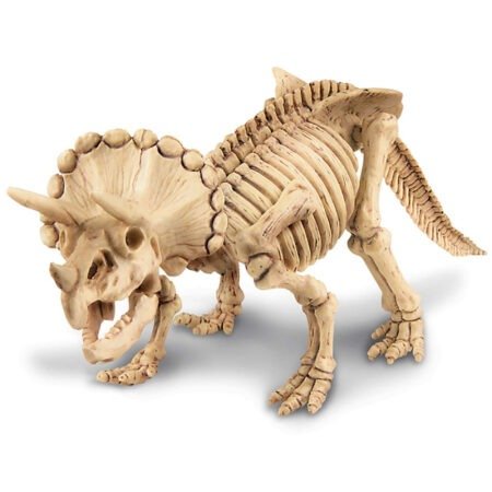 Набір для досліджень 4M Скелет трицератопса - Зображення 2