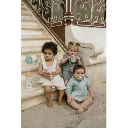 Пустушка фізіологічна (набір: 2 шт.), 0-6 місяців,  A walk in the park , рожева (8426420083188) - Зображення 2