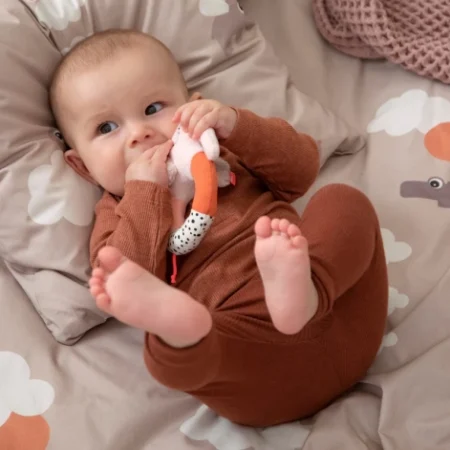 Брязкальце-каталка Elphee Пудра - Зображення 3