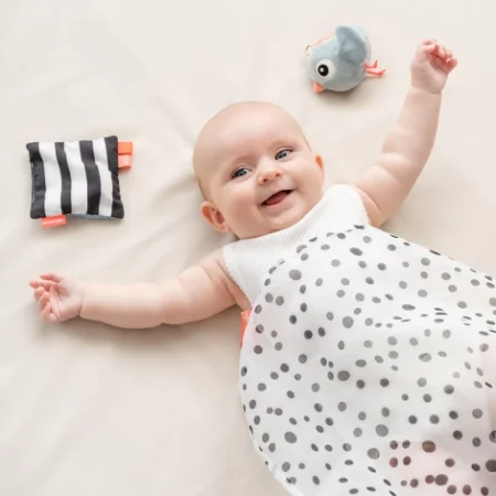 Набір сенсорних іграшок Birdee Синя - Зображення 4