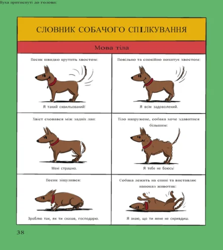Собаки чудові, але... - Зображення 2