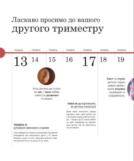 Бестселери DK для батьків : Вагітність день за днем (у)(2580) - Зображення 2