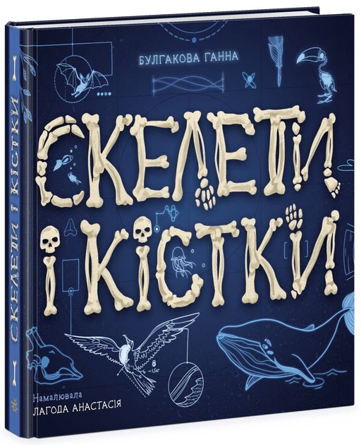 4 Енциклопедія з віконцями : Скелети і кістки (у)(950) - Зображення 1