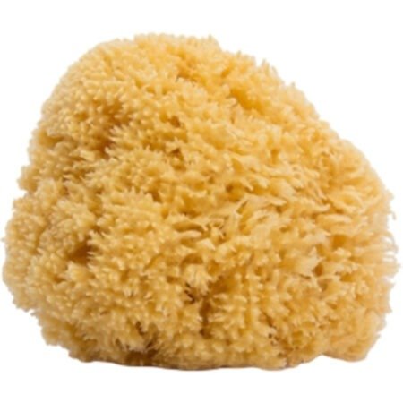Велика губка для купання (8426420302920)