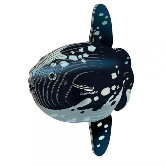 Збірна 3Д модель Зоопарк: Риба-місяць - Зображення 1